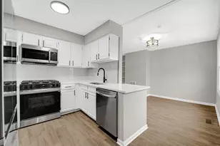 1602 W 103rd St, Chicago, IL 60643 - Photo 4