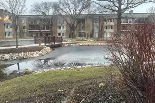 1 Oak Brook Club Dr, Oak Brook, IL 60523 - Photo 32