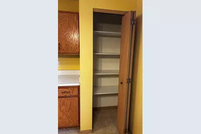 847 Covey Lane, Coal City, IL 60416 - Photo 8