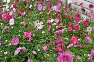 233 Wildflower Ln, Round Lake Beach, IL 60073 - Photo 28