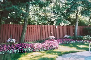 2537 Pick Dr, Glenview, IL 60025 - Photo 26