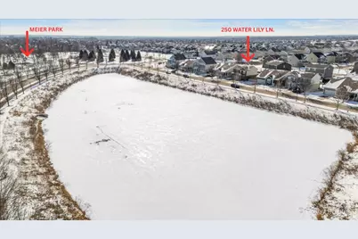 250 Water Lily Lane, Elgin, IL 60124 - Photo 40