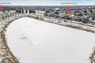 250 Water Lily Ln, Elgin, IL 60124 - Photo 40