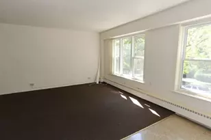 7333 N Ridge Blvd, Chicago, IL 60645 - Photo 6