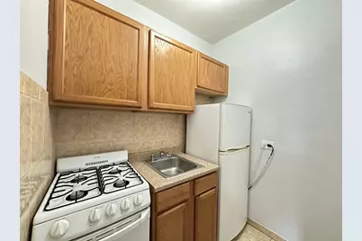 434 W Wellington Avenue #209, Chicago, IL 60657 - Photo 4