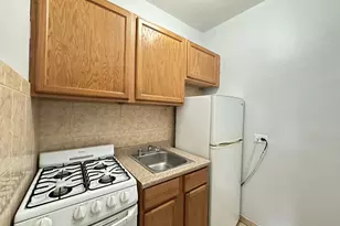 434 W Wellington Ave, Chicago, IL 60657 - Photo 4