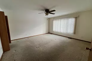 8256 W Chestnut Ct, Frankfort, IL 60423 - Photo 10