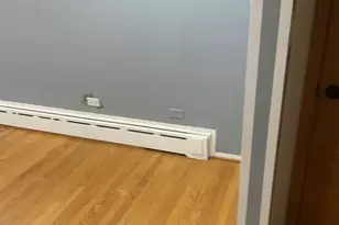 156 Park Pl, Grayslake, IL 60030 - Photo 30