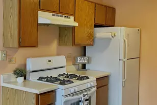 715 N Deer Run Dr, Palatine, IL 60067 - Photo 16