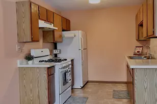 715 N Deer Run Dr, Palatine, IL 60067 - Photo 14