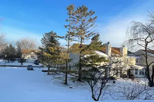 715 N Deer Run Dr, Palatine, IL 60067 - Photo 38