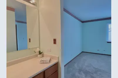 715 N Deer Run Drive #715, Palatine, IL 60067 - Photo 20