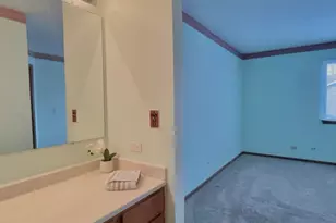 715 N Deer Run Dr, Palatine, IL 60067 - Photo 20