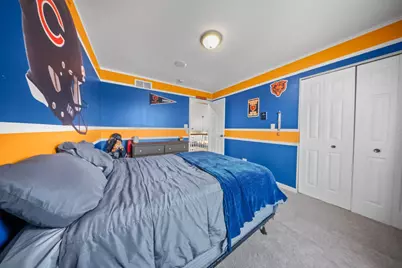 25407 S Yellow Pine Drive, Channahon, IL 60410 - Photo 16