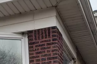 5709 S Mozart St, Chicago, IL 60629 - Photo 4