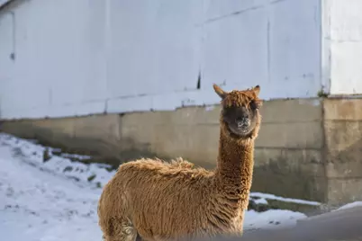 [Address not provided], Lemont, IL 60439 - Photo 60