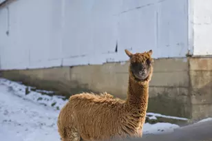 [Address not provided], Lemont, IL 60439 - Photo 60