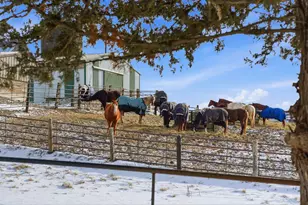 [Address not provided], Lemont, IL 60439 - Photo 62