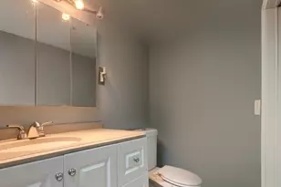 10530 S 82nd Ct, Palos Hills, IL 60465 - Photo 28