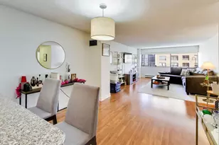 1415 N Dearborn St, Chicago, IL 60610 - Photo 8
