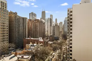 1450 N Astor St, Chicago, IL 60610 - Photo 22