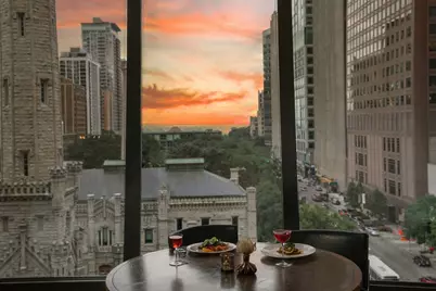 800 N Michigan Avenue #2202, Chicago, IL 60611 - Photo 30