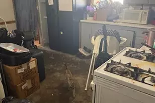 235 E Madison St, Paris, IL 61944 - Photo 8