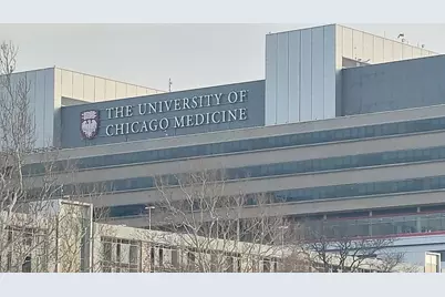 4625 S Michigan Avenue #1, Chicago, IL 60653 - Photo 18