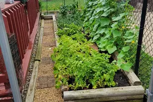 16417 66th Ct, Tinley Park, IL 60477 - Photo 30