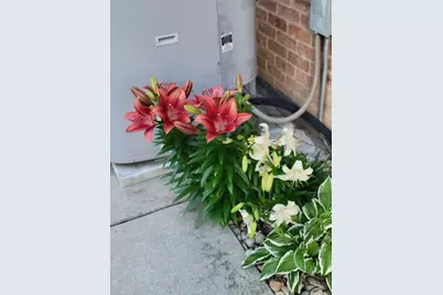 16417 66th Court, Tinley Park, IL 60477 - Photo 28