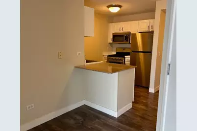 545 N Dearborn Street #W2905, Chicago, IL 60654 - Photo 6