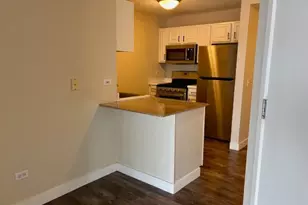 545 N Dearborn St, Chicago, IL 60654 - Photo 6