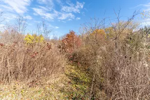 9709 Cunningham Rd, Winnebago, IL 61088 - Photo 126