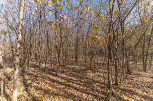 9709 Cunningham Rd, Winnebago, IL 61088 - Photo 124