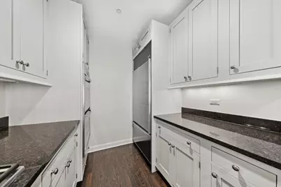 415 E North Water Street #706, Chicago, IL 60611 - Photo 10