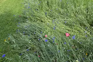 106 Mix St, Oregon, IL 61061 - Photo 48