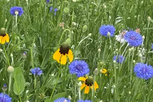 106 Mix St, Oregon, IL 61061 - Photo 46