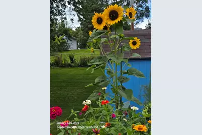 8114 9th Street W, Rock Island, IL 61201 - Photo 2