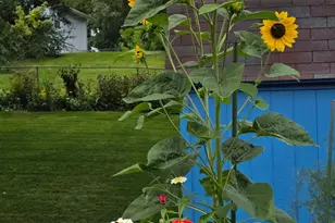 8114 9th St W, Rock Island, IL 61201 - Photo 2