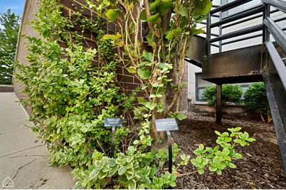 4235 S Calumet Avenue, Chicago, IL 60653 - Photo 4