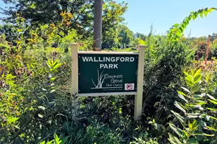 3919 Washington St, Downers Grove, IL 60515 - Photo 36