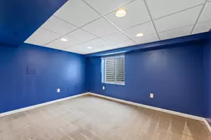 302 N Jackson St, Philo, IL 61864 - Photo 22