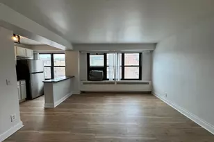 6118 N Sheridan Rd, Chicago, IL 60660 - Photo 2