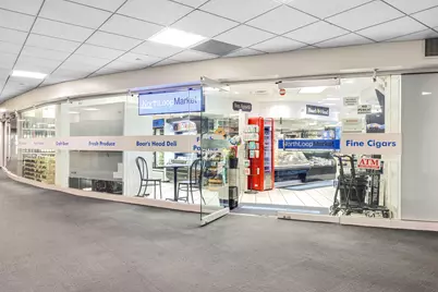 300 N State Street #4110, Chicago, IL 60654 - Photo 4