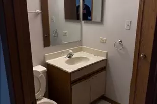 9334 Drummond Dr, Tinley Park, IL 60487 - Photo 12