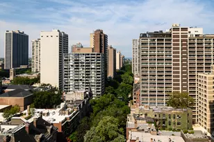 1325 N State Pkwy, Chicago, IL 60610 - Photo 12