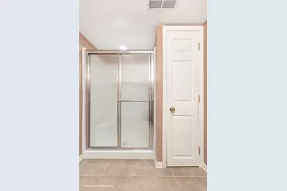 842 Winmoor Drive, Sleepy Hollow, IL 60118 - Photo 38