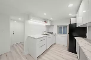 1025 W 31st Pl, Chicago, IL 60608 - Photo 2