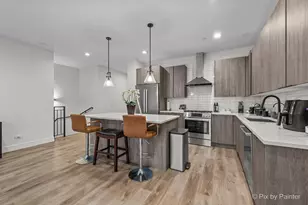 117 S Bell Ave, Chicago, IL 60612 - Photo 8