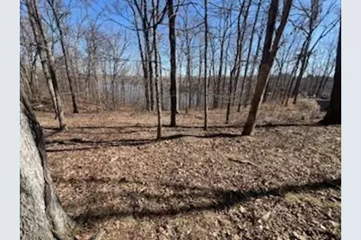 Lot 244 Parrish Ridge Lane, Orangeville, IL 62939 - Photo 2